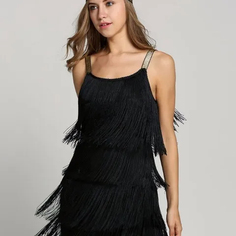 Women Vintage 1920s Flapper Dress Sleeveless Fringe Tassel A-Line Slip Dress Sexy Party Clubwear Polyester