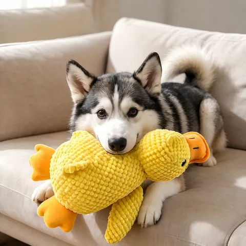 Mignon Canard Jaune Peluche Jouet Sonore Chien Jouet à Mâcher Interactif