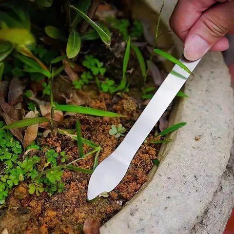 Τσουγκράνα και Φτυάρι Bonsai από Aνοξείδωτο Aτσάλι Εργαλείο Διπλής Κεφαλής Μικρός Καλλιεργητής Χώματος Εργαλείο Ξεχορταρίσματος για Φυτά Γλάστρας
