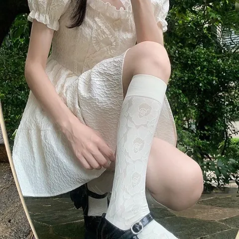 Women Retro French Style Lace Calf Socks Vintage Floral Embroidered Sheer Mesh Mid Tube Socks JK Fashion Hosiery