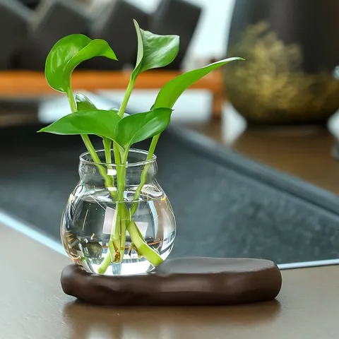 Jarrón de Planta Hidropónica de Escritorio Creativo Adorno de Resina Estilo Chino Planta Verde Botella de Vidrio Decoración