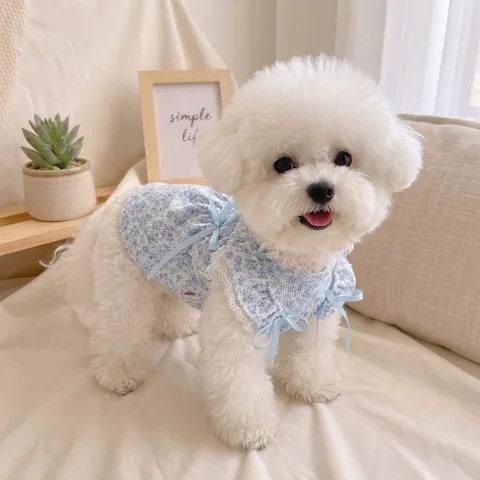 Robe Imprimé Floral Français pour Animal de Compagnie Été Fin Respirant Protection Solaire Vêtements Mignons Style Princesse pour Chiens et Chats