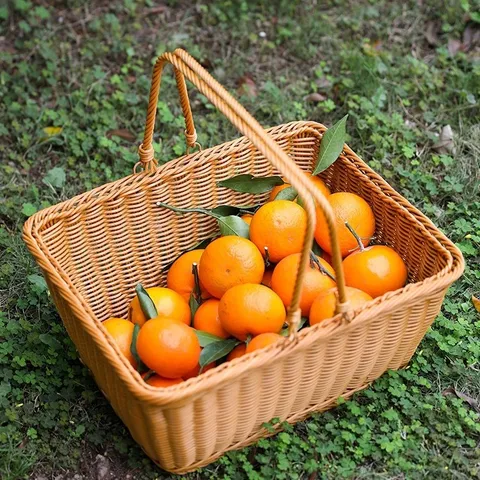 Πλαστικό Ψάθινο Υφαντό Καλάθι Αποθήκευσης Εξωτερικού Χώρου Φρούτα Λαχανικά Καλάθι Πικνίκ Φορητό Δοχείο Αποθήκευσης