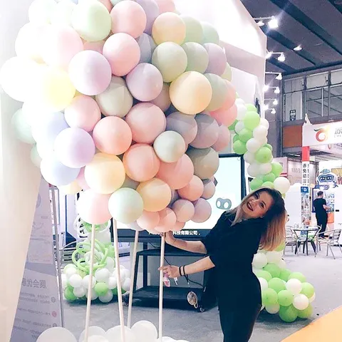 10 Zoll Macaron Latex Ballons Bunte Ballon Packung Sortierte Farben Für Hochzeit Geburtstag Party Dekoration