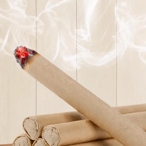Natürlicher Beifuß Mückenabwehr Räucherstäbchen Und Holzsockel Kräuter Anti Mücken Räucherstäbchen Für Innen Außen Angeln Heimgebrauch