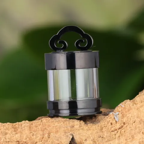 Pendant Only Stainless Steel Glass Hollow Openable Capsule Pendant With Auspicious Cloud Hanging Loop For Cinnabar Crystal Women Men Jewelry