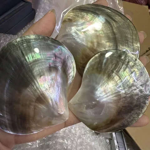 Natural Black Mother Of Pearl Irregular Shell Plate Caviar Dish Polished Mini Appetizer Plate Home Decoration Accessory Tray Natural Iridescent Shell Dish
