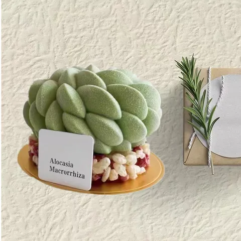 Stampo in Silicone Francese Saint Anne Fiore Succulente Mousse Teglia da Forno Torta Dessert Stampo per Candele Aromaterapia