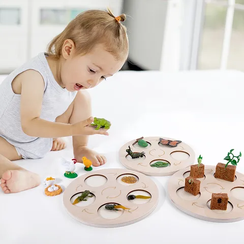 Giocattolo del Ciclo di Vita in Legno Montessori Tavola Cognitiva del Ciclo di Crescita di Animali e Piante Giocattoli Scientifici Educativi Precoce per Bambini