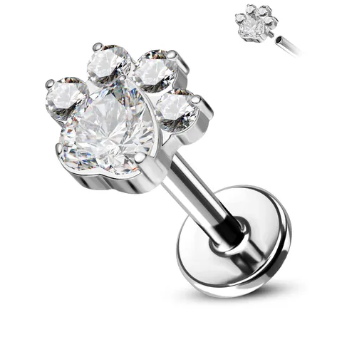 Titanium Internally Threaded Flat Back Stud Earrings Dog Paw Rhinestone Piercing Jewelry For Cartilage Tragus Conch Women