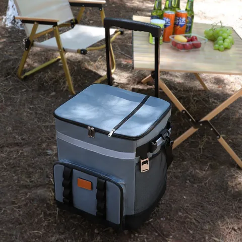 Grote Capaciteit Rollende Koeltas Outdoor Picknick Iestas Draagbare Geïsoleerde Trolley Tas Met Wielen En Trekstang