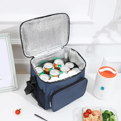 Draagbare Waterdichte Geïsoleerde Lunchtas Thermische Koeltas Voor Outdoor Picknick Kamperen Woon-werkverkeer