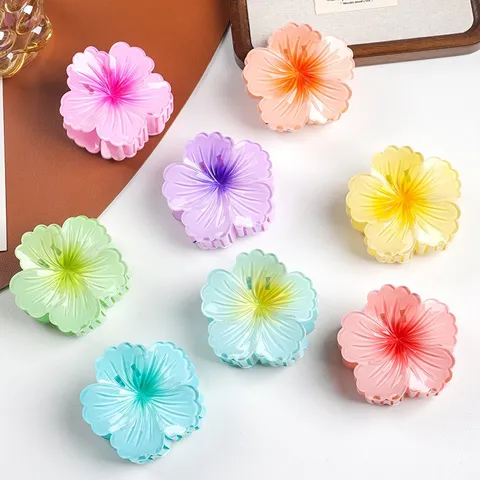 Süße Gradient Frangipani Blume Haarkralle Harz Florale Haarklammer Haarschmuck Für Damen Mädchen Tägliches Styling