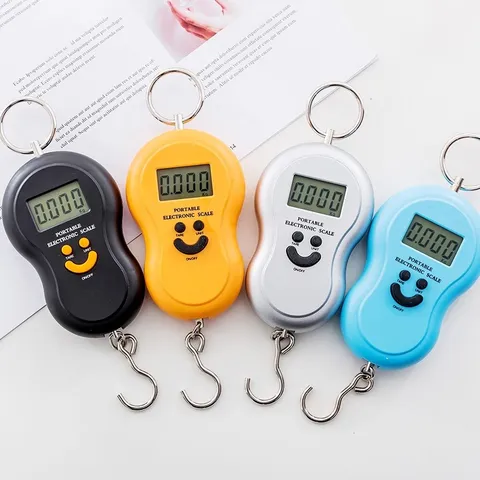 Portable Electronic Scale 50KG High Precision Digital Hanging Luggage Scale Kitchen Express Weighing Hook Scale