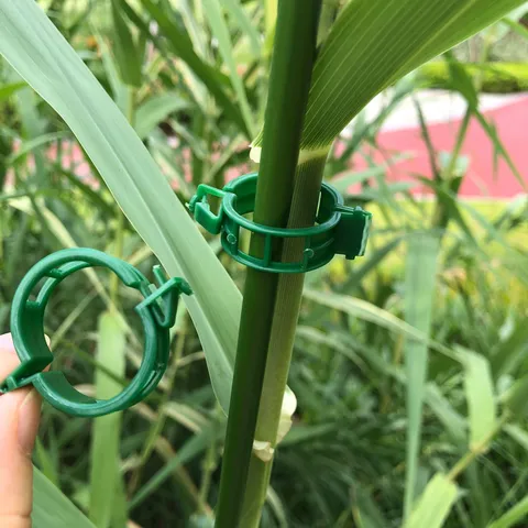 Plastik Pflanzenstütze Clips Ranke Stängel Befestigungsclips Wiederverwendbar Grün Weiß Garten Clips Für Gemüse Blumen Kletterpflanzen