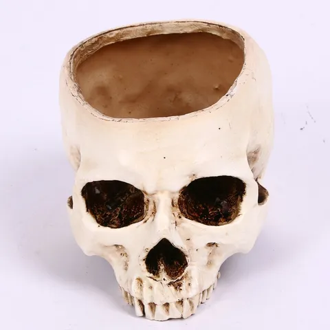 Rustikal Harz Totenkopf Blumentopf Multifunktional Hohl Skelett Aschenbecher Halloween Dekoration Geist Haus Requisite Desktop Aufbewahrung Ornament