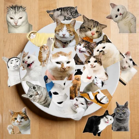 Waterproof Transparent Funny Cat Meme Stickers Cute Pet Animal Decals For Luggage Laptop Water Bottle Decoration