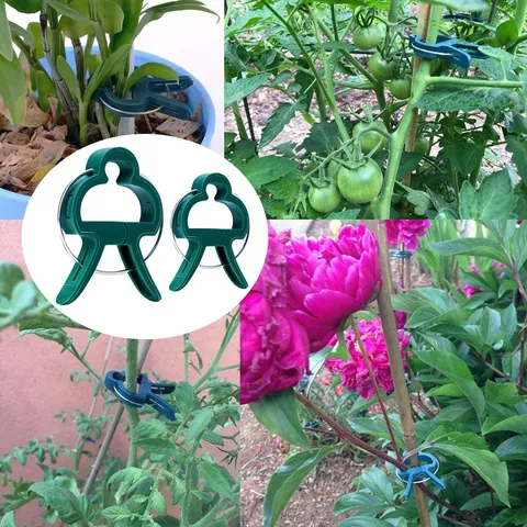 Clips de Support de Plante en Plastique Pinces de Vigne de Jardin pour Tomates Vert