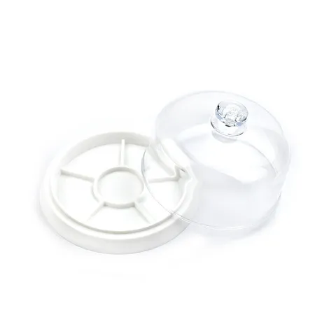Scatola di Immagazzinaggio della Copertura della Polvere del Movimento dell'Orologio di Plastica Trasparente Accessori per Utensili di Riparazione dell'Orologio Organizzatore della Copertura Antipolvere