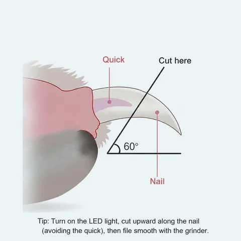 LED Light Pet Nail Clipper With Blood Line Illumination Transparent Guard And Nail File For Cats And Dogs Grooming
