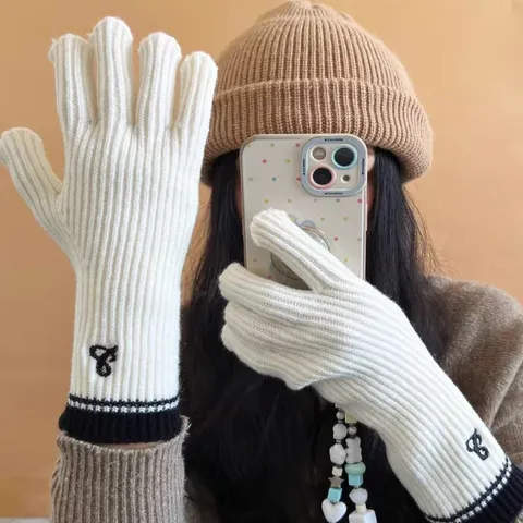 Winter Cute Knit Touch Screen Gloves Women Warm Stretch Polyester Mittens With Embroidery Small Label Casual Cold Weather Gear
