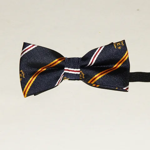 Kinder Britischer Stil Leistung Formale Elastische Band Fliege Polyesterseide Klassisches Muster Party Halsbekleidung