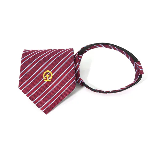 Heren Zakelijke Professionele Clip Das Rood Diagonaal GestREIPT Das Eenvoudige Rits Das Pak Shirt Accessoires