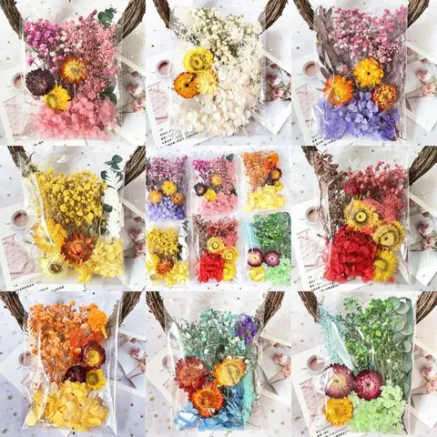 Pacchetto di Materiale per Fiori Secchi Naturali Per Artigianato In Resina Fai Da Te Ortensia Margherite Petali Per Cornici Regalo