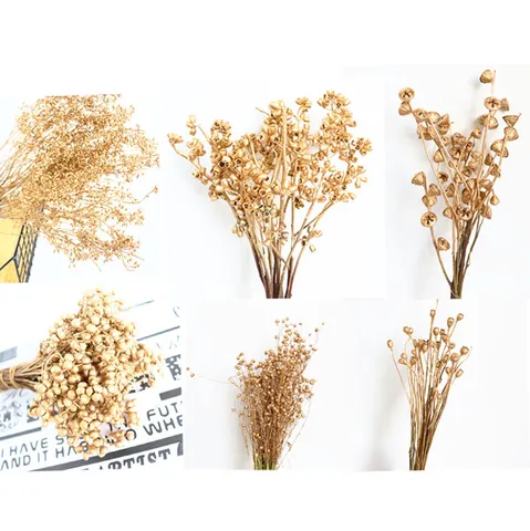 Fiori Secchi d'Oro Rami di Frutti di Pianta Naturale Frutto di Miglio d'Oro Eucalyptus Bouquet d'Oro per Natale Decorazione Casa