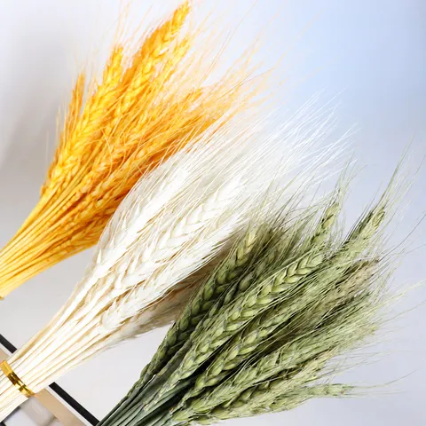 Natural Dried Wheat Ears Dried Flowers Natural Barley Bouquet For Home Decor Wedding Floral Arrangement