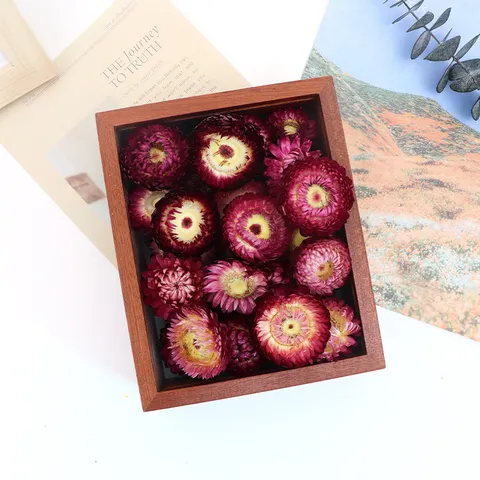 Teste di Elicriso Secche Naturali Margherite Colorate Senza Fine Sfuse Per Fai da Te Matrimonio Casa Decorazione Floreale