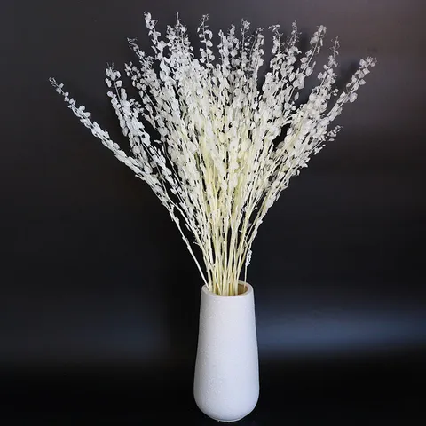 Natural Preserved Fern Leaves Dried Flower Bouquet DIY Aromatherapy Floating Flower Floral Arrangement Home Decor