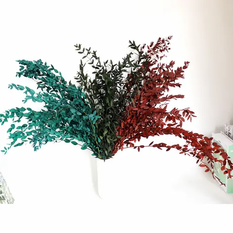 Stile Nordico Foglie di Eucalipto Preservate Bouquet di Fiori Secchi Naturali Decorazione per la Stanza di Casa Composizione Floreale da Tavolo Oggetto di Scena per Fotografia