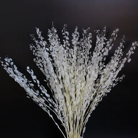 Natural Preserved Fern Leaves Dried Flower Bouquet DIY Aromatherapy Floating Flower Floral Arrangement Home Decor