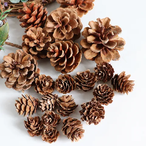 Natural Pine Cones Dried Flowers DIY Floral Arrangement Material For Christmas Tree Home Decor Photography Props