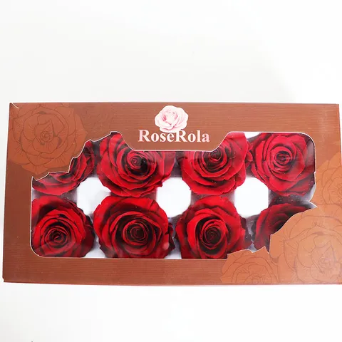 Geconserveerde Rozenbloemkoppen A-Kwaliteit Verse Bloem Voor DIY Glazen Kap Woondecoratie Feest Bruuiloft Ambacht Geschenk