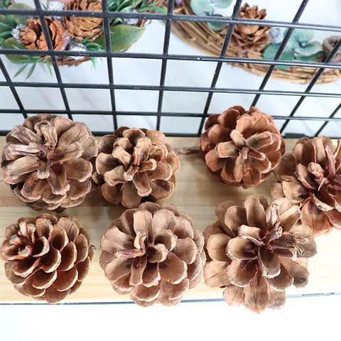 Natural Pine Cones Dried Flowers DIY Floral Arrangement Material For Christmas Tree Home Decor Photography Props
