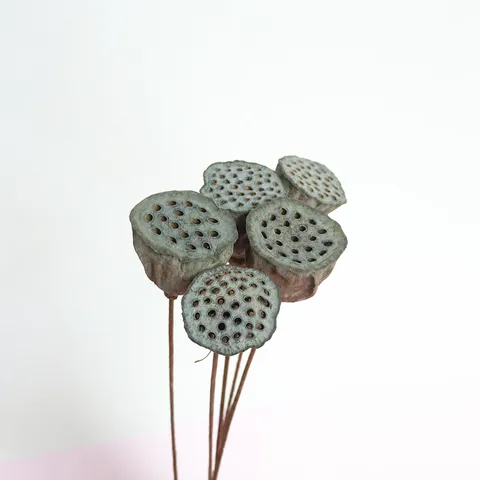 Natural Dried Lotus Pods With Stem Dried Flower Bouquet Floral Arrangement Material For Home Decor Crafting