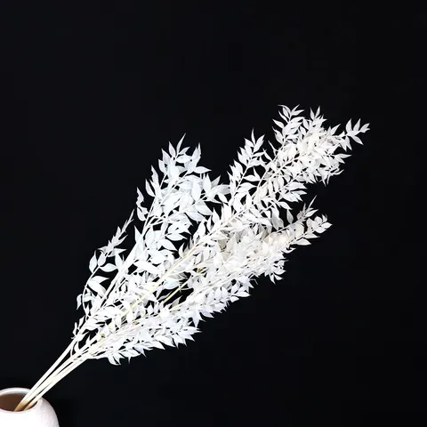 Fiori Secchi di Foglie Fortunate Sbiancate Preservate Naturali Bouquet fai da te per Matrimonio Decorazione Casa Oggetti di Scena