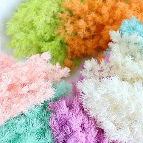 Fiori Secchi di Felce Asparagus Preservati Materiali Floreali DIY Per Scatola Regalo Copertura in Vetro Decorazione per Feste di Matrimonio a Casa