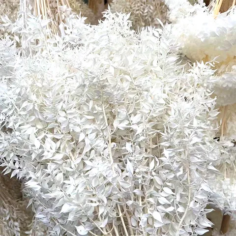 Fiori Secchi di Foglie Fortunate Sbiancate Preservate Naturali Bouquet fai da te per Matrimonio Decorazione Casa Oggetti di Scena