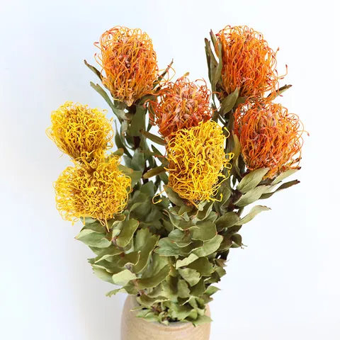 Natural Dried Flower Branch Nordic Style Home Decor Yellow Orange Single Stem Floral Arrangement Botanical Ornament