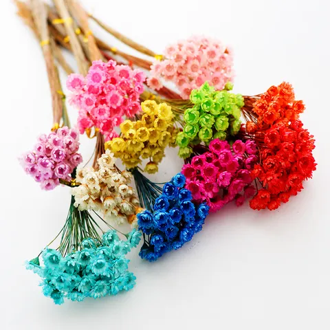 Mazzo Di Fiori Di Stella Brasiliani Secchi Naturali Materiale Floreale Fai Da Te Per Aromatherapia Fiore Galleggiante Decorazione Casa Accessori
