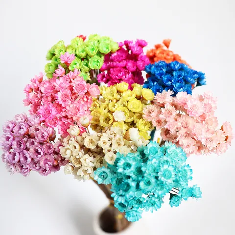 Mazzo Di Fiori Di Stella Brasiliani Secchi Naturali Materiale Floreale Fai Da Te Per Aromatherapia Fiore Galleggiante Decorazione Casa Accessori