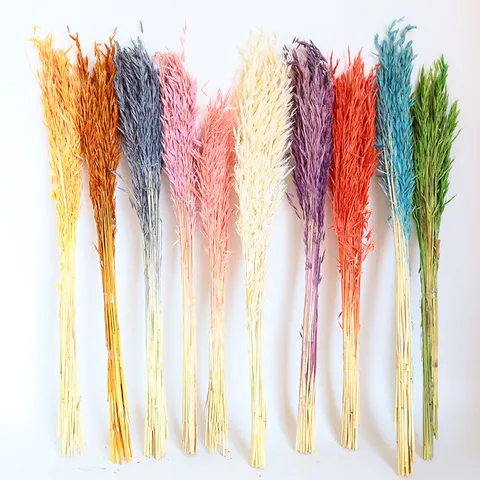 Bouquet di Fiori di Avena Secchi Naturali Pianta Reale Stabilizzata Spighe di Grano Per Decorazioni Domestiche Oggetti di Scena