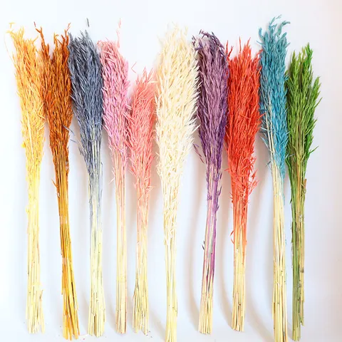 Bouquet di Fiori di Avena Secchi Naturali Pianta Reale Stabilizzata Spighe di Grano Per Decorazioni Domestiche Oggetti di Scena