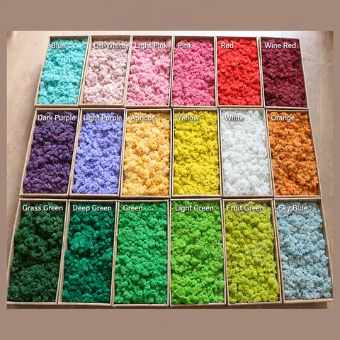 Preserved Moss Dried Flowers Boxed For Home Decoration Moss Wall DIY Craft Material Natural Coral Grass Floral Decor
