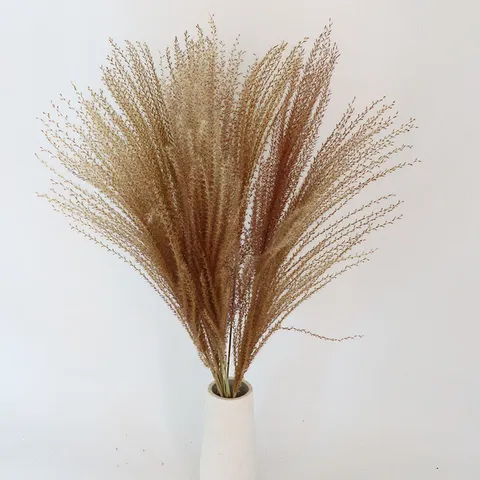 Natural Dried Pampas Grass Reed Flowers Fluffy Feathers Boho Floral Bouquet For Home Wedding Party Room Decoration