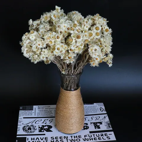 Bouquet di Fiori Secchi Naturali Piccole Margherite Fiori di Roccia Decorazione per la Casa Composizione Floreale Letteraria Bouquet di Piante Secche