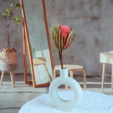 Fiori di Banksia Secchi Naturali Vera Pianta Floreale Arredamento Casa Oggetti Fotografia Bouquet Matrimonio Fai da Te